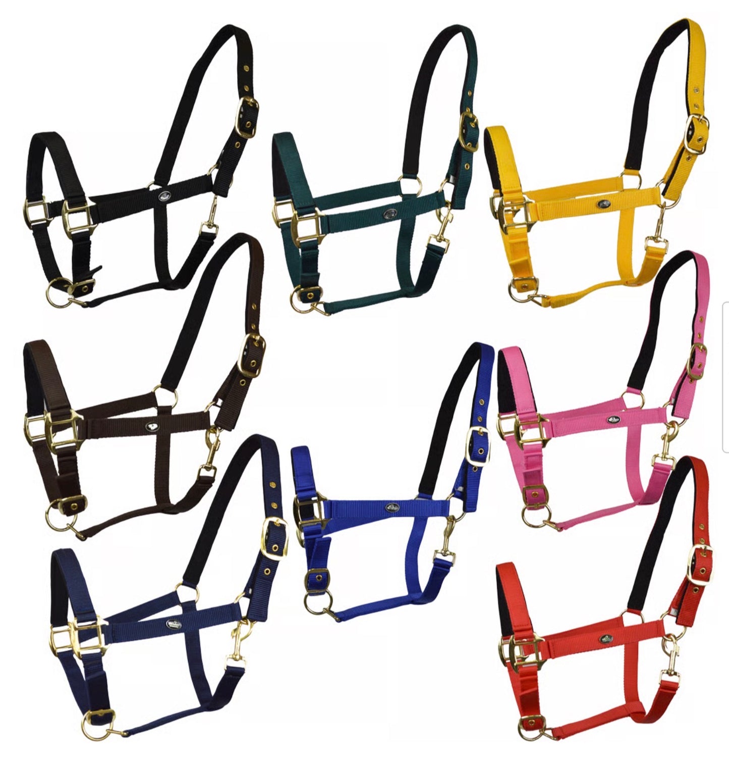 Capezza in doppio nylon winner.