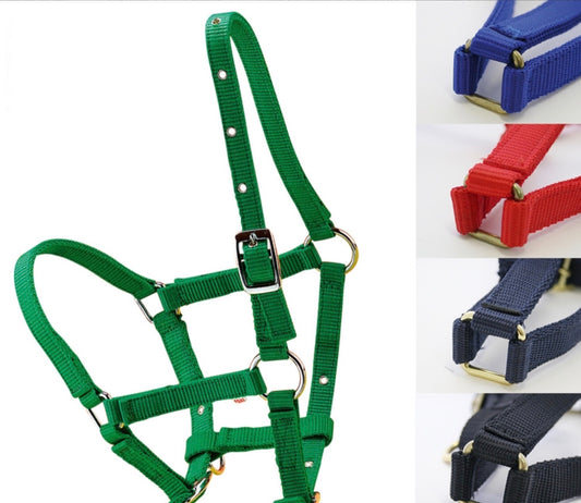 Capezza in nylon per puledri.
