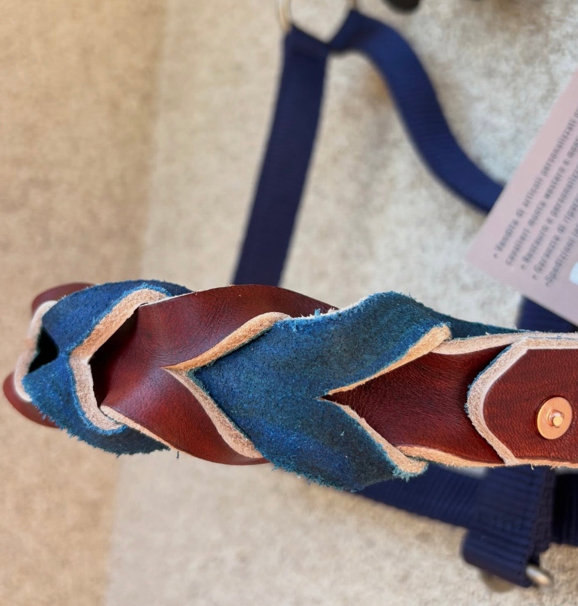 Capezza in nylon con nasalina intrecciata doppio colore e targhetta personalizzata e lunghina.